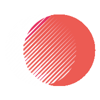 tylerwiltshireseo.com